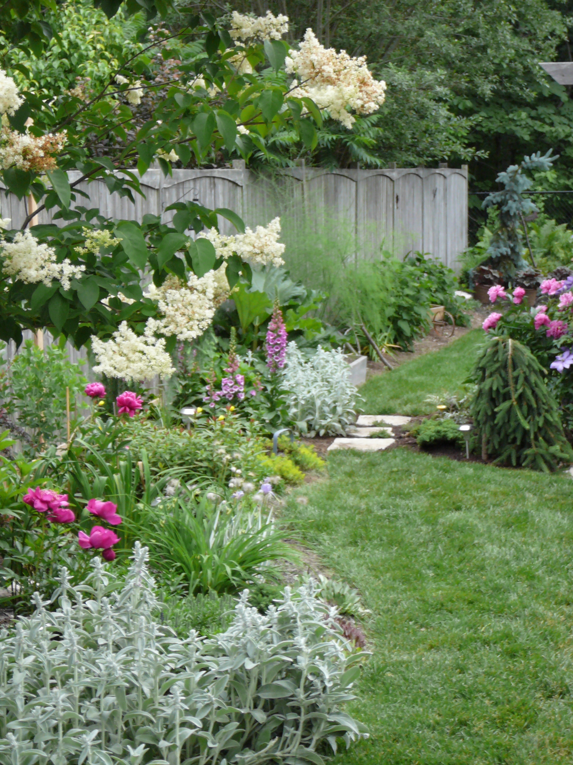 march 2011 ottawa garden design garden designer started in